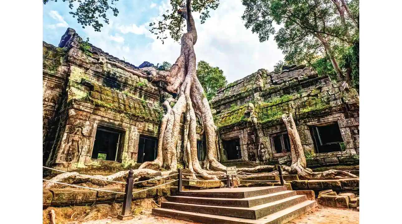 Ta_Prohm_Temple_ServaTravel